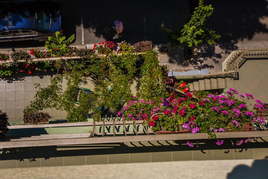Guest House ,, Ekaterina" Nesebar Exterior photo
